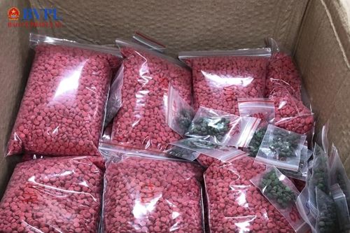 Phê chuẩn khởi tố sơn nữ vận chuyển một bao tải ma túy