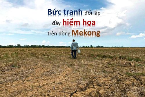 Bức tranh đối lập đầy hiểm họa trên dòng Mekong