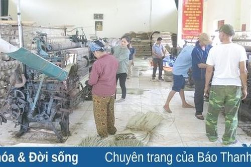 Sôi động nghề chiếu cói Quảng Phúc