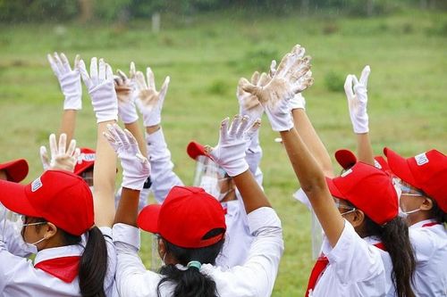Sáng kiến của hàng trăm bạn trẻ giúp trồng cây xây mái ấm cho muôn loài