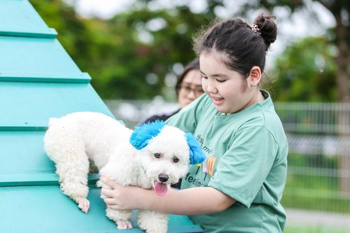 Công viên dành cho chó đầu tiên tại Hà Nội, mỗi ngày đón hơn 100 lượt thú cưng