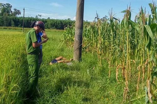 Thi thể nam thanh niên nằm dưới cột điện giữa cánh đồng