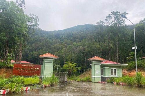 Phú Quốc: Khu bảo tồn biển tại ấp Cây Sao bị xâm hại nghiêm trọng