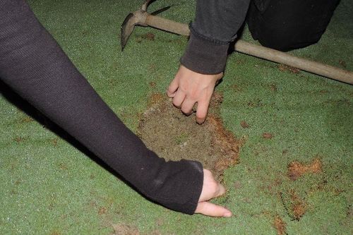 Các nhà hoạt động Pháp đổ xi măng lên lỗ golf để phản đối