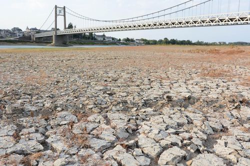Sông lớn khô cạn, châu Âu đối mặt đợt hạn hán tồi tệ nhất trong vòng 500 năm