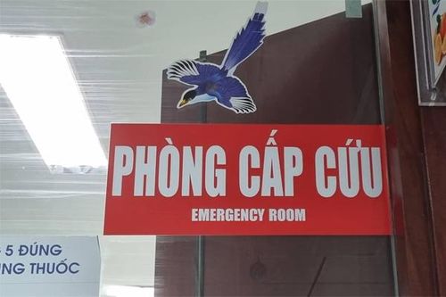 Bé 3 tuổi bị nhốt vào tủ đông: Nếu phát hiện muộn có thể dẫn đến tử vong