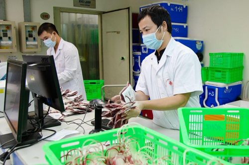 Nguy cơ thiếu nhóm máu O