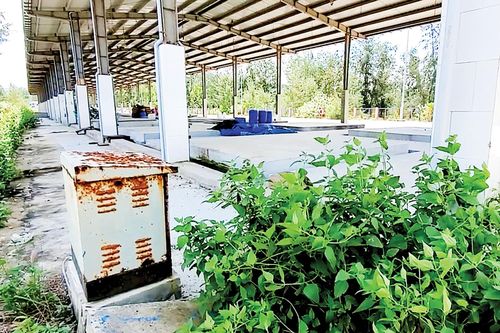 Ngư dân 'chê' bến cá tiền tỷ