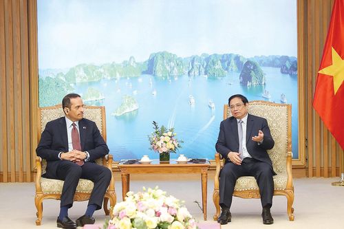 Việt Nam và Qatar tăng cường hợp tác về hạ tầng, năng lượng tái tạo