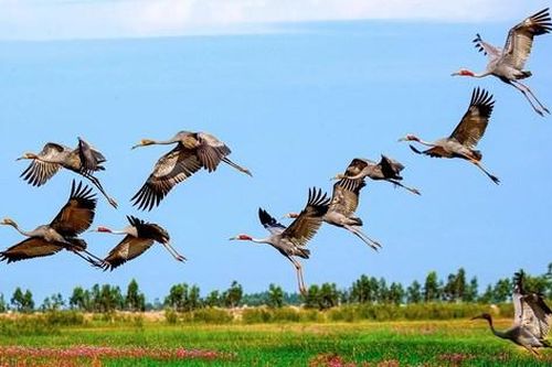 Chiêm ngưỡng tuyệt phẩm về thiên nhiên Việt Nam