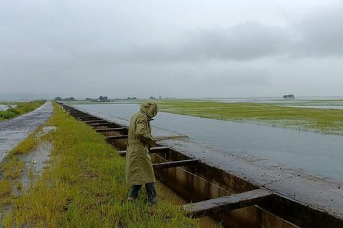 Đắk Lắk: Mưa lũ khiến một huyện thiệt hại 69 tỉ đồng