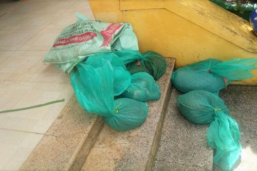 Bắt hai đối tượng có 4 tiền án vận chuyển nhiều cá thể động vật nguy cấp, quý, hiếm