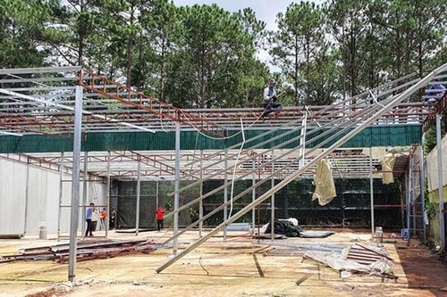 Đà Lạt tháo dỡ 72ha nhà kính, trả lại mảng xanh cho thành phố trong rừng