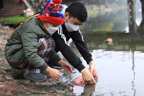 Phóng sinh - hành động 'nhân đạo' có thể gây những hậu quả khó lường