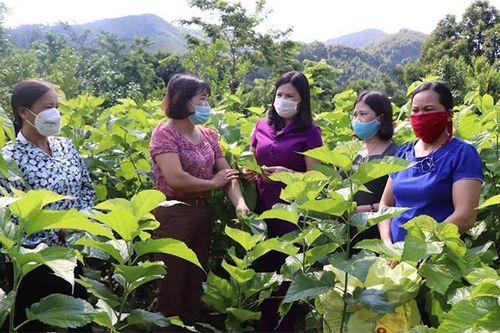 Doanh nghiệp chuyển đổi số: Nếu không đủ quyết tâm sẽ 'đứt gánh giữa đường'