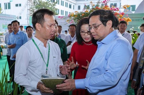 Thủ tướng: Học viện Nông nghiệp Việt Nam phải trở thành đại học hàng đầu thế giới về nông nghiệp
