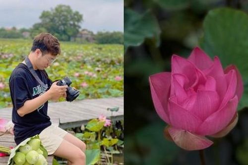 Ai ngờ tháng 8 mà Ninh Bình vẫn có sen nở rộ trái mùa, lên đường ngay thôi nào!