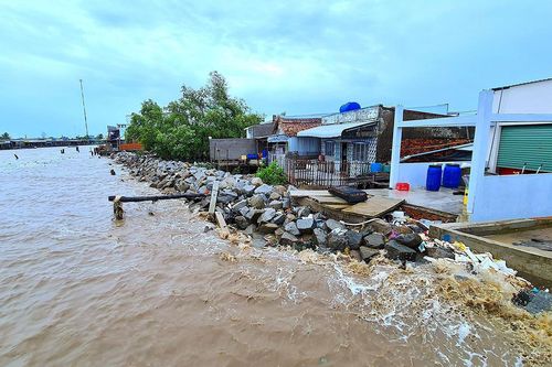 Cà Mau chống sạt lở từ xa