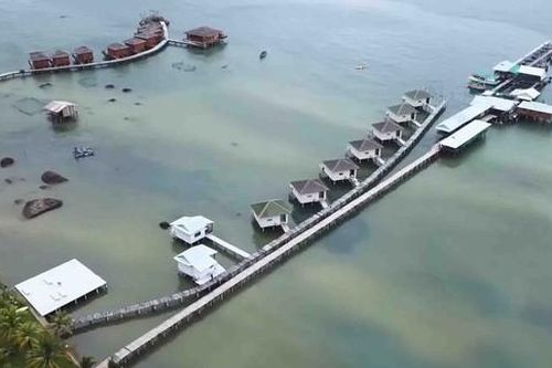 Trong 2 tháng, Kiên Giang khởi tố 11 vụ phá rừng Phú Quốc