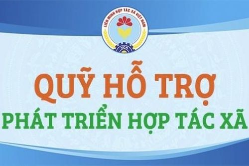 Hướng dẫn mới về xử lý tổn thất tài sản của Quỹ hỗ trợ phát triển hợp tác xã