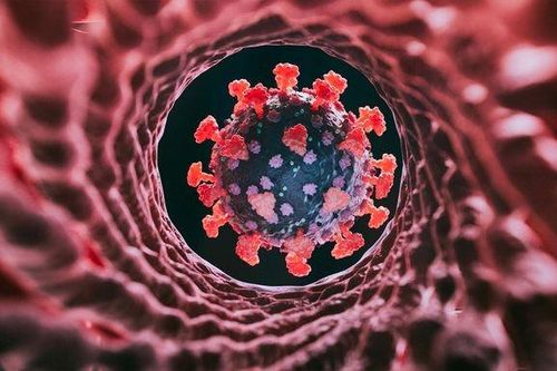 Nhiều biến thể lây lan nhanh của Omicron đã xâm nhập vào nước ta