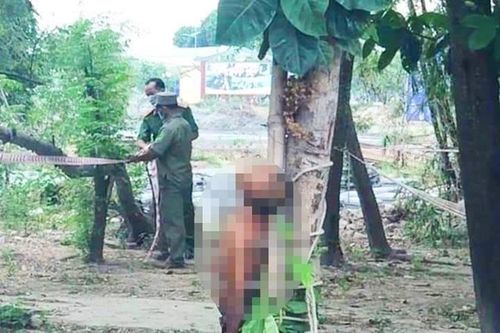 Người chị trói em trai vào gốc cây đến chết bị phạt 7 năm tù