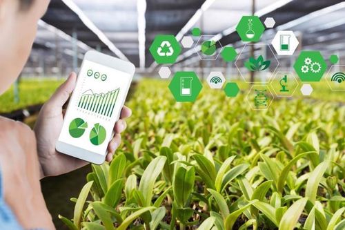 Ứng dụng công nghệ thu thập thông tin, dự báo thị trường nông sản