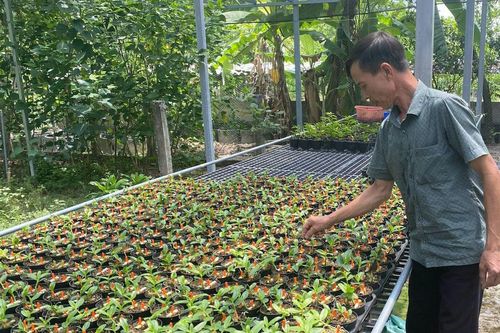 HTX sẽ tự đưa ra mức bồi thường để xử lý tổn thất tài sản của Quỹ hỗ trợ phát triển hợp tác xã