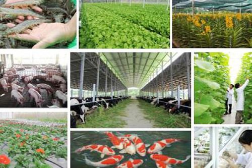 Chỉ thị của Ban Bí thư về lãnh đạo đại hội hội nông dân các cấp nhiệm kỳ 2023-2028