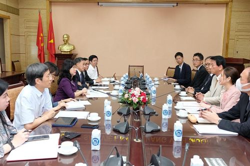 Thúc đẩy mối quan hệ hợp tác phòng chống bệnh viêm gan giữa Việt Nam và Nhật Bản
