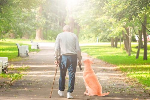 Chủ qua đời, chú chó nằm bên quan tài tuyệt thực suốt 2 ngày rồi mất