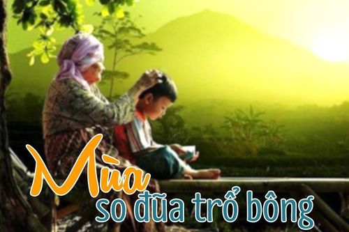 Đọc truyện đêm khuya: Mùa so đũa trổ bông