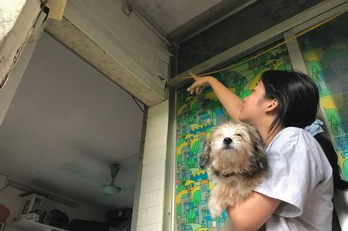 Rợn người các tòa chung cư cũ sắp sập ở Hà Nội