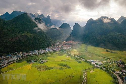 Mùa lúa chín Mường Khương - dải lụa vàng nơi biên viễn Tổ quốc