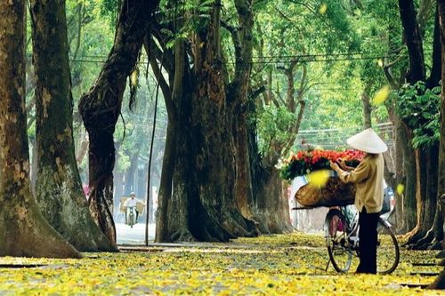 Du lịch Việt Nam 'ghi điểm' với truyền thông quốc tế