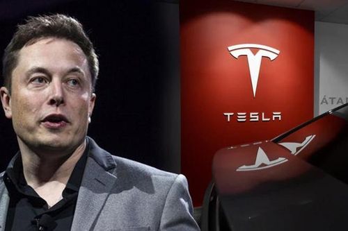 Người Hàn Quốc hy vọng đổi đời nhờ cổ phiếu Tesla