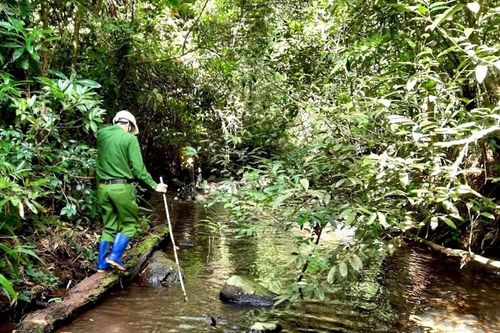 Người dân nói về khu rừng phát hiện 2 bộ xương khô