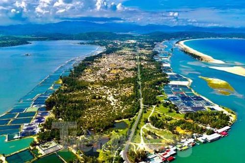 Cảnh đẹp hút hồn ở xứ 'Hoa vàng trên cỏ xanh'