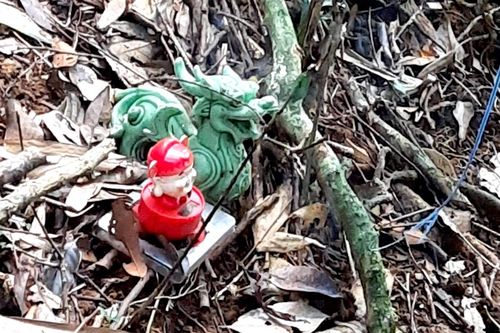 Lạnh người nghe kể về khu rừng nơi phát hiện 2 bộ xương người trên võng