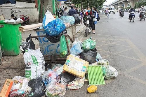 Hộ gia đình không phân loại rác sẽ bị phạt tiền từ 500.000 - 1 triệu đồng