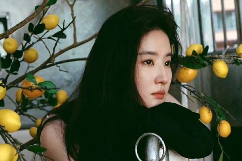 Lưu Diệc Phi luôn chọn im lặng về tin đồn đời tư