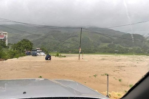 Tuyên Quang: Gần 325 ha lúa, cây màu bị ngập do mưa lớn kéo dài