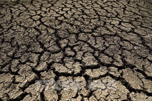 Các sáng kiến giúp ngành nông nghiệp Trung Quốc ứng phó với hạn hán