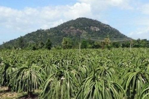 Bình Thuận: Kinh tế - xã hội vùng dân tộc thiểu số thay đổi rõ nét sau 30 năm tái lập tỉnh