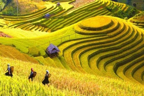 Đặc sắc Lễ hội khám phá ruộng bậc thang Mù Căng Chải 2022