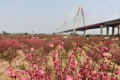 Đề xuất 2 phương án nghỉ Tết Nguyên đán và Quốc khánh năm 2023