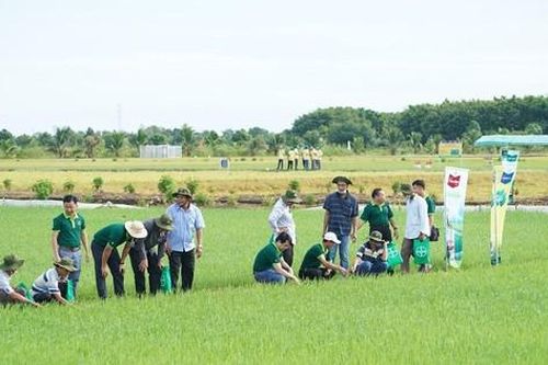 Bayer Việt Nam mang đến giải pháp nông nghiệp bền vững tại ngày hội hơn 4.000 người