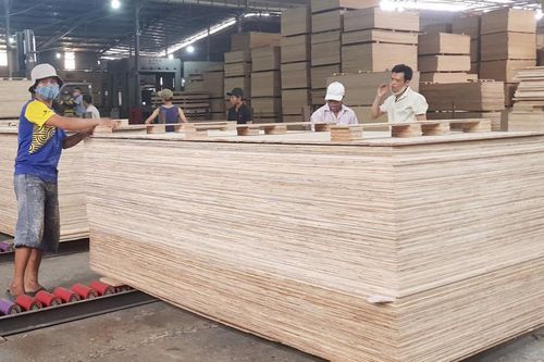Gỗ dán Việt Nam gặp khó khi vào Mỹ