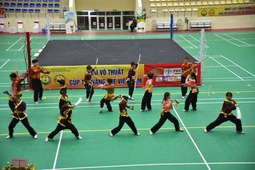 Khai mạc Giải Võ thuật Cup Tài năng trẻ Việt Nam lần 3