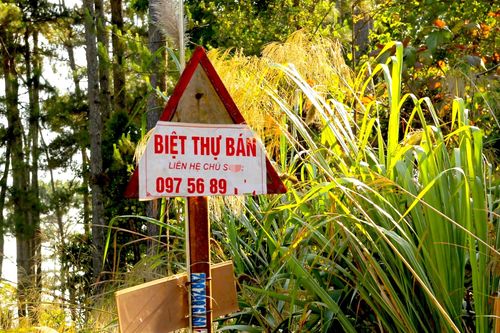 Vụ giao năm lô biệt thự không qua đấu giá ở Măng Đen: Đề nghị cảnh cáo Trưởng phòng TN&MT